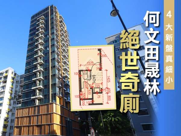 精明業主租客-何文田晟林絕細奇廁    4大新盤真細小-House730