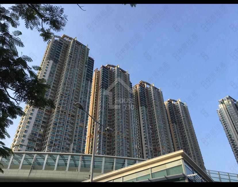 大围名城放租- 笋租 名城3房套 随时可租