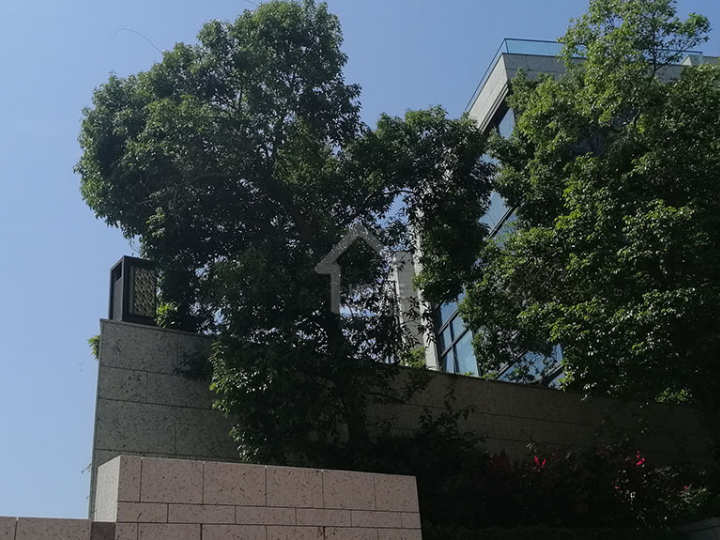 Shouson Peak 物業外貌 - House730