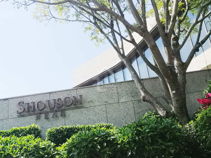 Shouson Peak 物業外貌 - House730