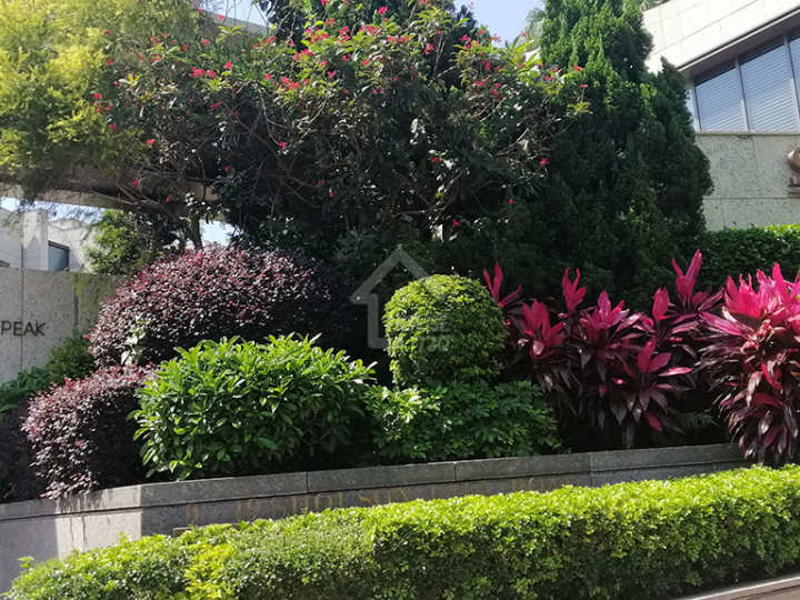 Shouson Peak 物業外貌 - House730
