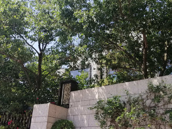 Shouson Peak 物業外貌 - House730