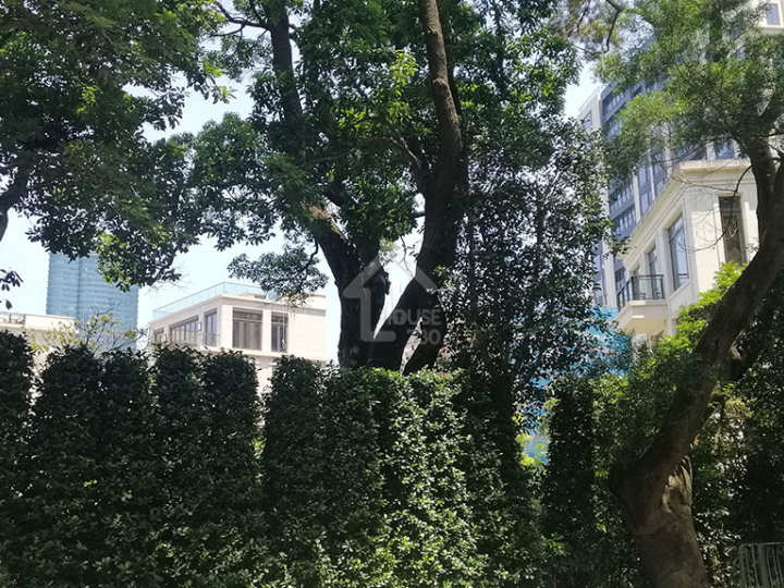 Mount Nicholson III 附近環境 - House730
