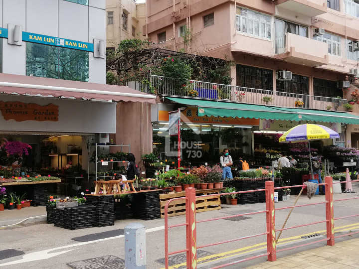 128 Waterloo 附近環境 - House730