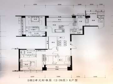 华侨城新天鹅堡二期 D棟二單元04戶型 - House730