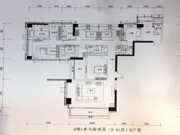 华侨城新天鹅堡二期 D棟一單元01戶型 - House730