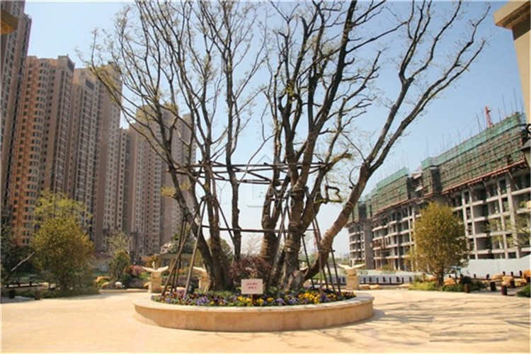 惠州奧林清華 - House730