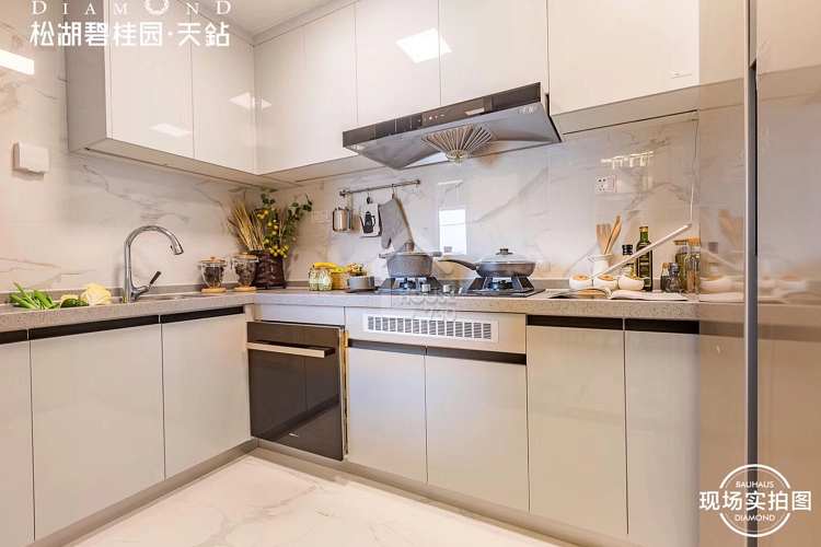 東莞松湖碧桂園天鑽 - House730