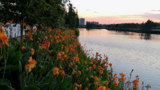 華陽湖1號 - House730