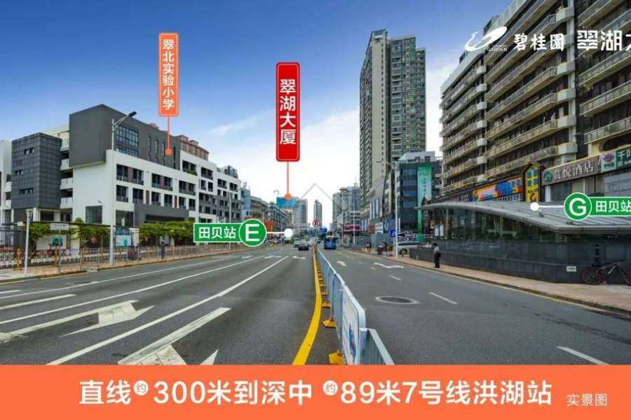 碧桂園翠湖大廈 - House730