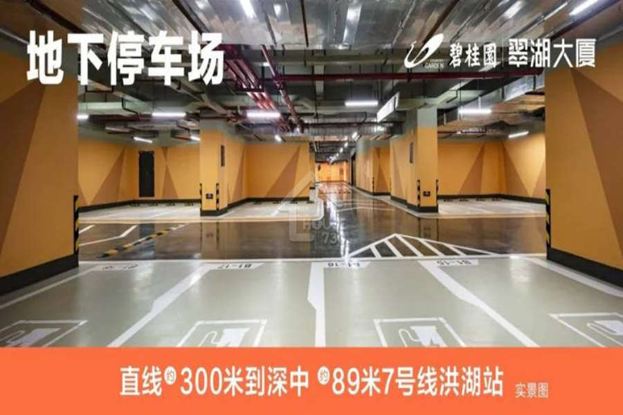 碧桂園翠湖大廈 - House730