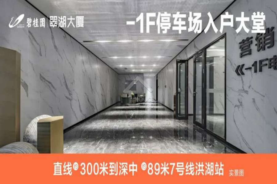 碧桂園翠湖大廈 - House730