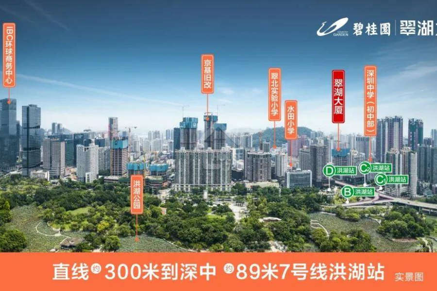 碧桂園翠湖大廈 - House730