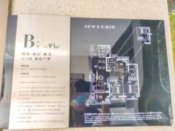保利廣鋼城 保利和光晨樾二期 91平方叁房 - House730