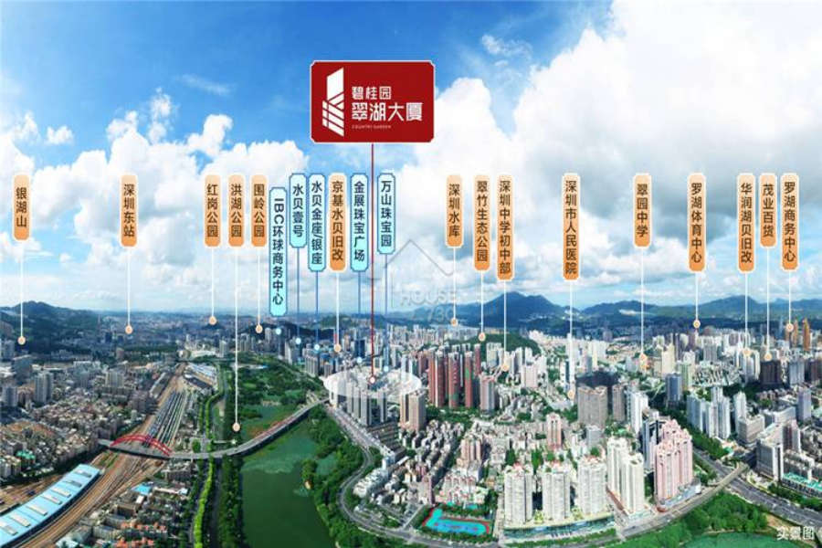 碧桂園翠湖大廈 - House730