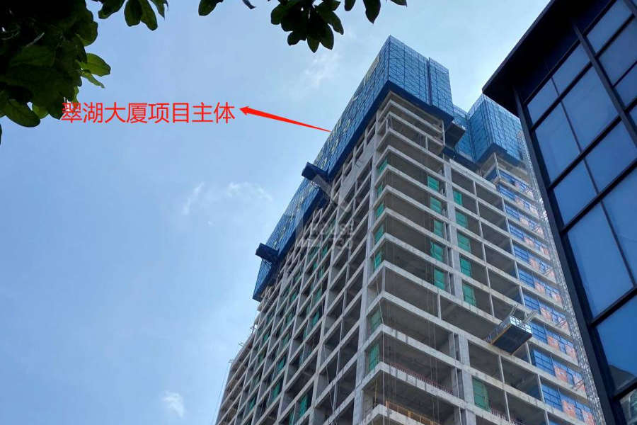 碧桂園翠湖大廈 - House730