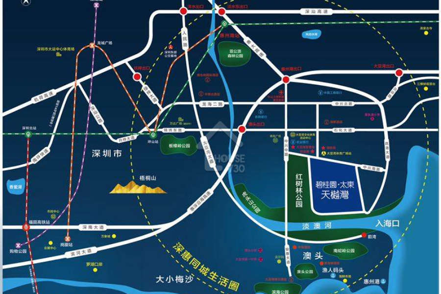 惠州碧桂園太東天樾灣 - House730