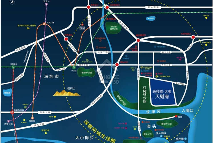 惠州碧桂園太東天樾灣 - House730