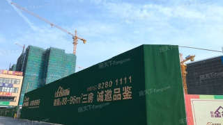 敏捷金谷國際 - House730