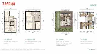 九洲保利天和 独栋D户型 - House730
