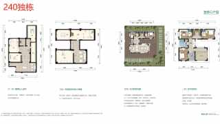 九洲保利天和 独栋C户型 - House730