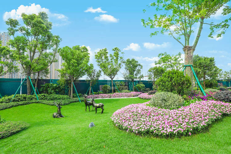 碧桂園.華發香洲府 - House730