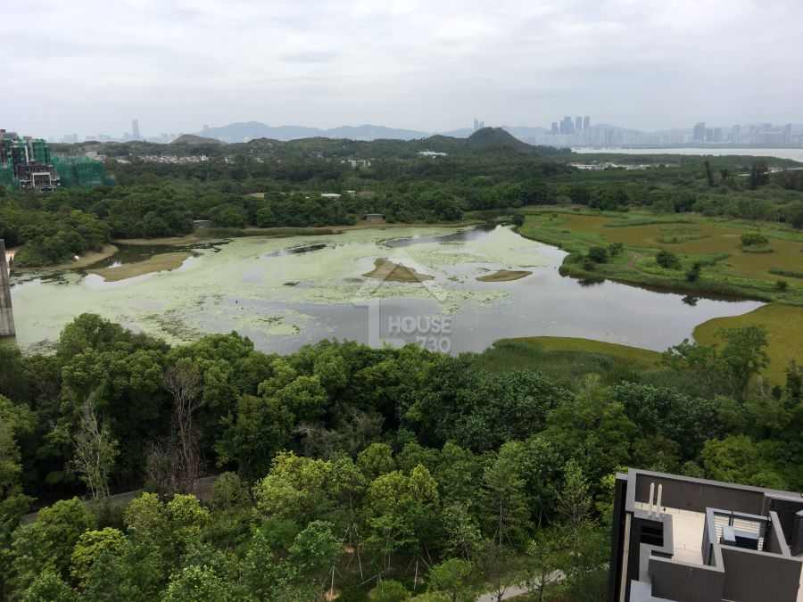 頂層外望盡覽濕地公園。