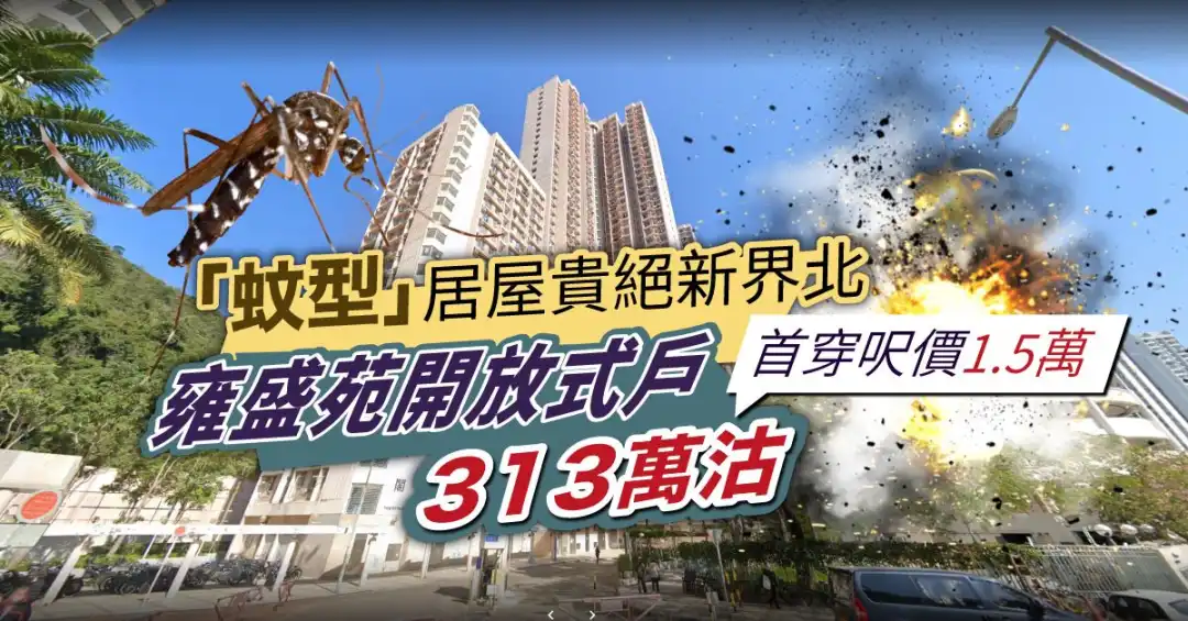 「居屋王」的粉嶺雍盛苑，一個開放式單位自由市場313萬成交，呎價首次升穿1.5萬