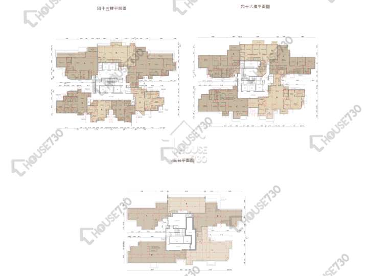 溱岸8號 平面圖 溱岸8號 1座 45-46樓 樓層平面圖 - House730