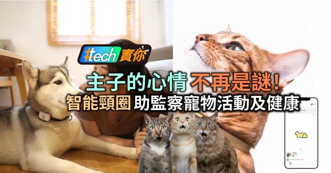 #Tech实你-主子的心情不再是谜！智能颈圈助监察宠物活动及健康-House730