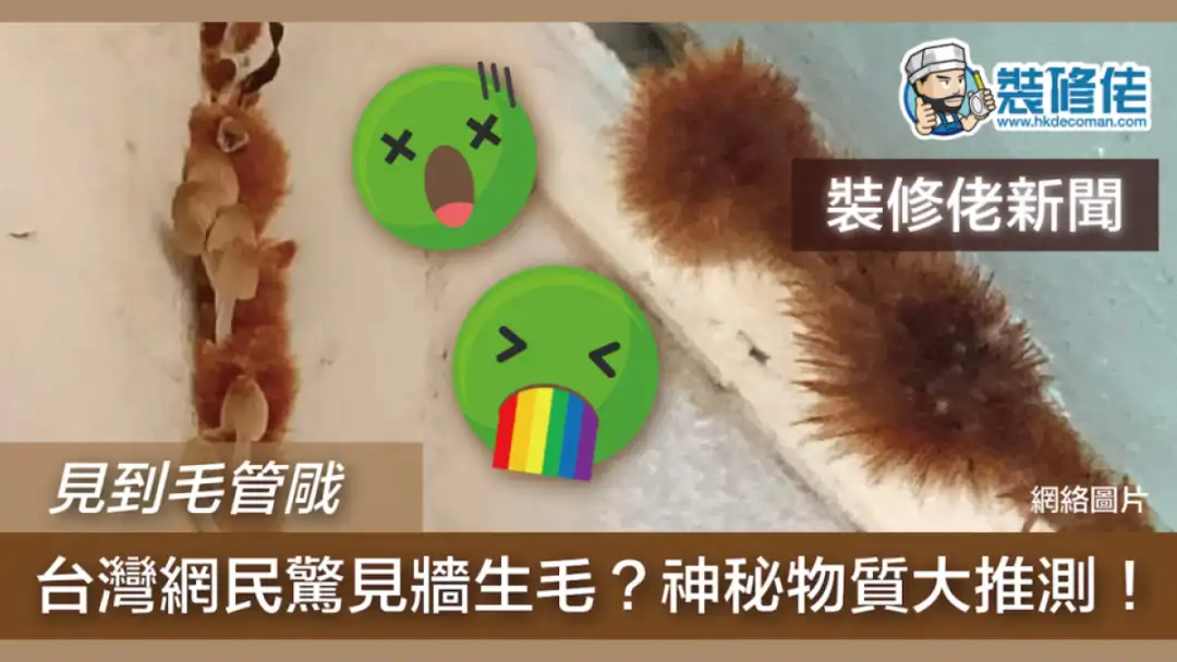 i House-【疫情下見到毛管戙】網民驚見牆生毛?神秘物質大推測!-House730