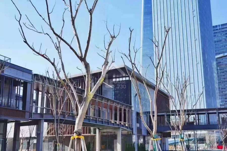 深國際前海頤都大廈 - House730