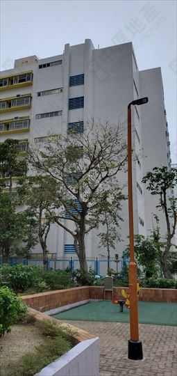 Tai Po Town Centre WANG FUK COURT Lower Floor Environment nearby House730-6441804