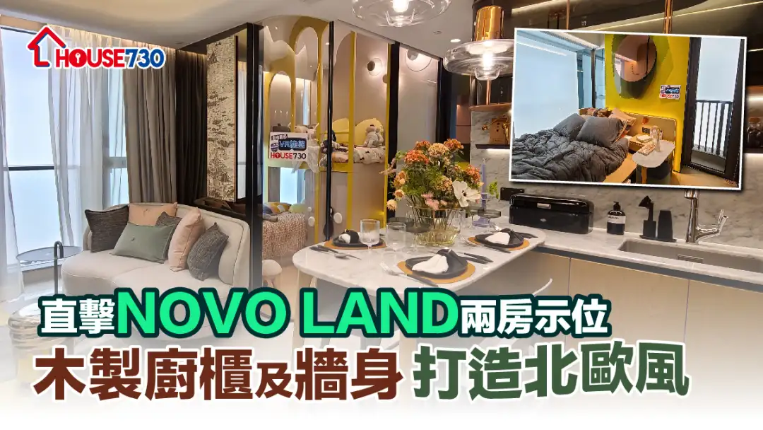 NOVO LAND两房示位以北欧风格为主