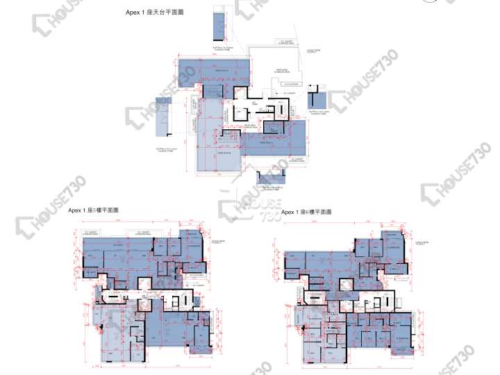 雲端 平面圖 雲端 Apex 1座 5-6樓 樓層平面圖 - House730