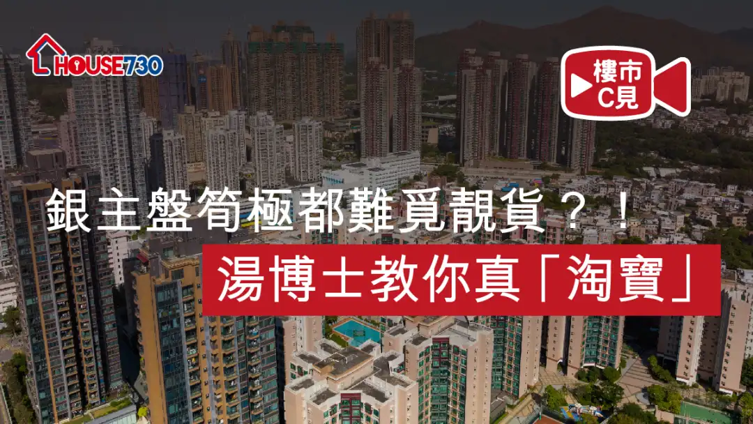 樓市C見 施永青-【樓市C見】 銀主盤筍極都難覓靚貨？！湯博士教你真「淘寶」-House730