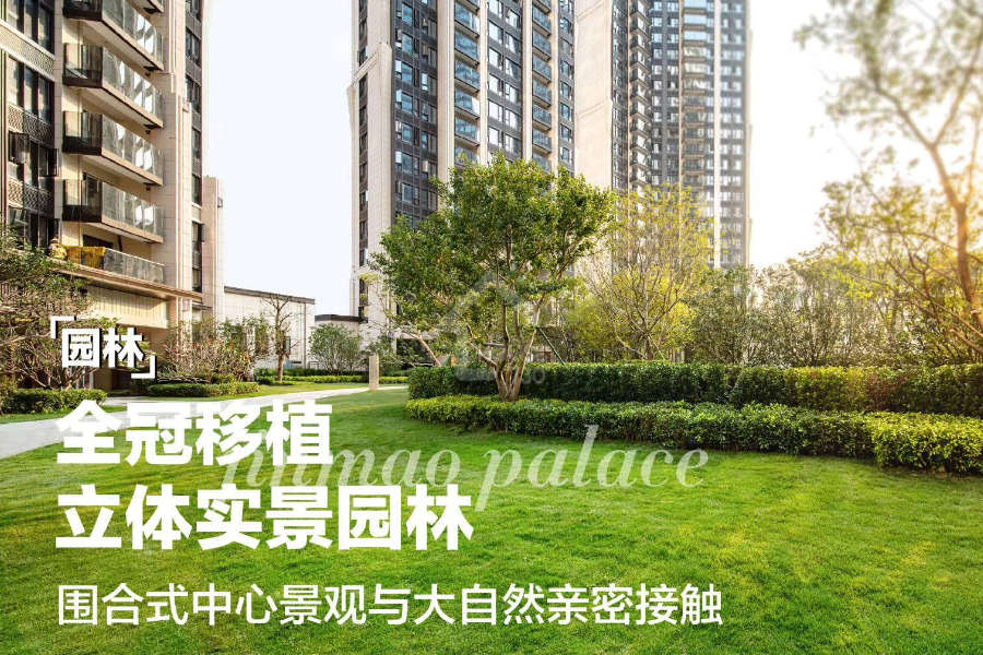 龍華金茂府 - House730