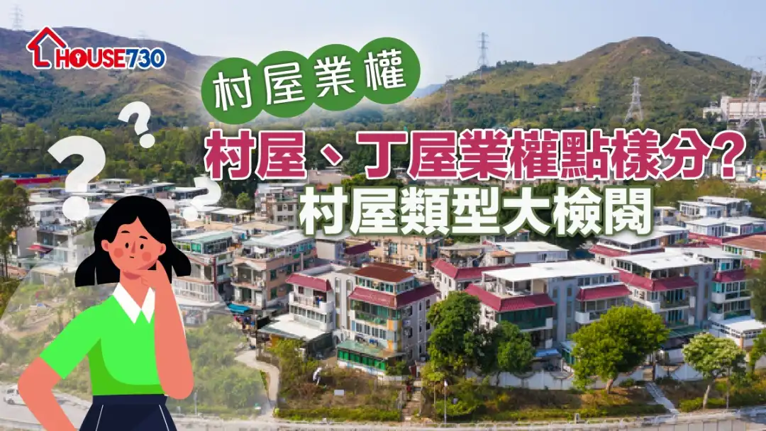 【村屋业权】 村屋、丁屋业权点样分 + 村屋类型大检阅