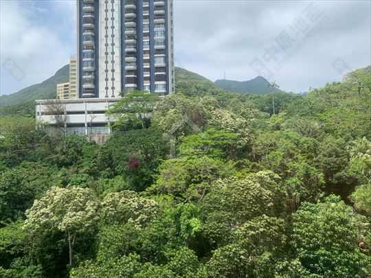 薄扶林 碧瑶湾 中层 House730-6915028