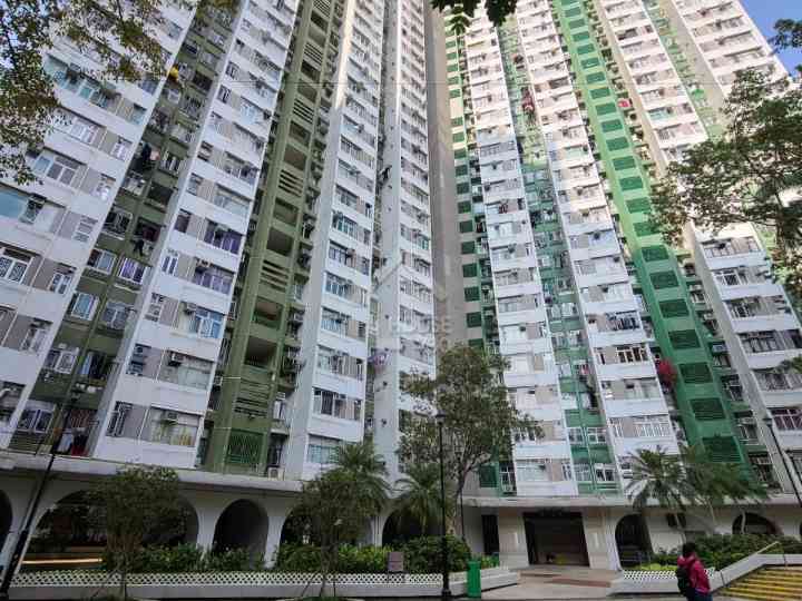 美城苑 物業外貌 - House730
