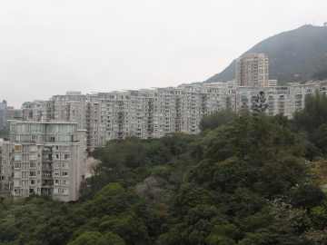 畢架山一號 - House730