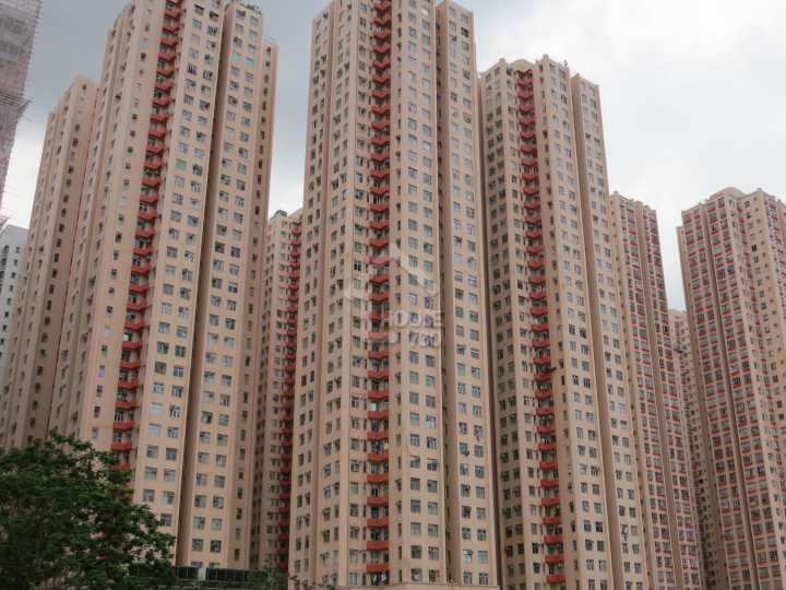 淘大花園 物業外貌 - House730