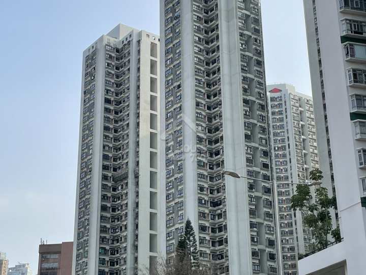 大興花園 物業外貌 - House730