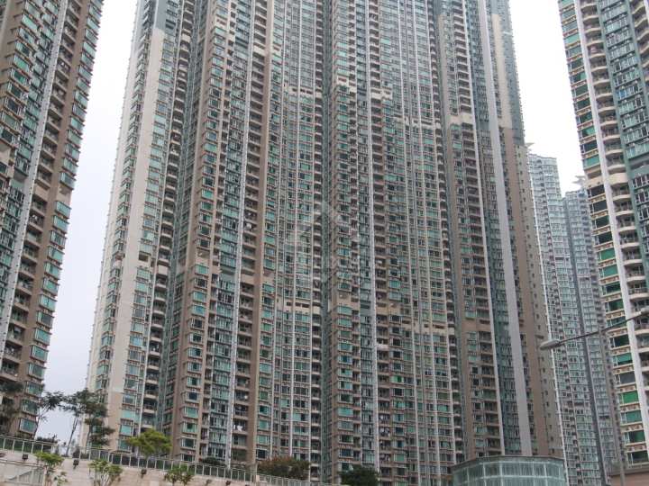 日出康城 物業外貌 日出康城2B期領峯 - House730