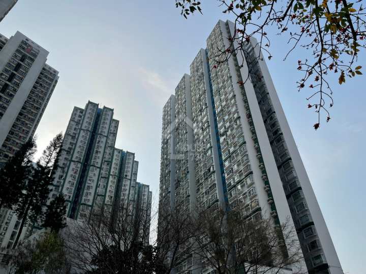 翠林花園 物業外貌 - House730