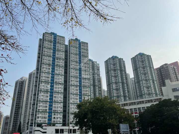 翠林花園 物業外貌 - House730
