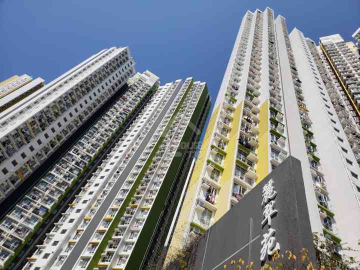 麗翠苑 物業外貌 - House730
