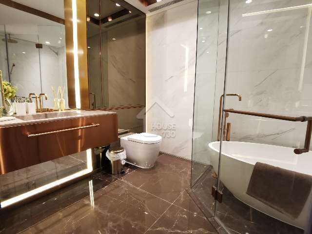 Pok Fu Lam BISNEY CREST Whole Building Master Room’s Washroom House730-6091206
