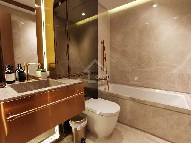 Pok Fu Lam BISNEY CREST Whole Building Washroom House730-6091206