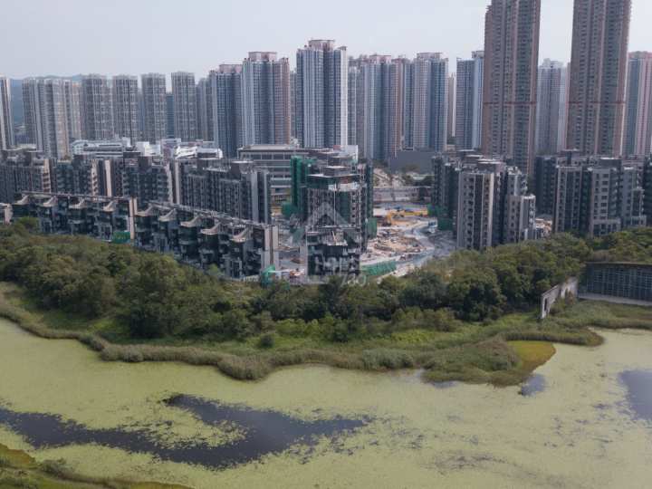 Wetland Seasons Park 物業外貌 - House730